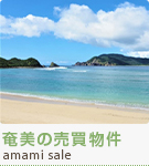 奄美の売買物件