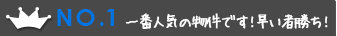 ランキング1位